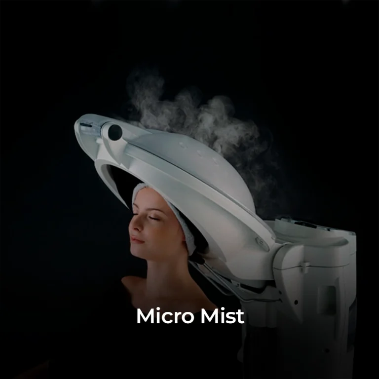 Micro-Mist copiar